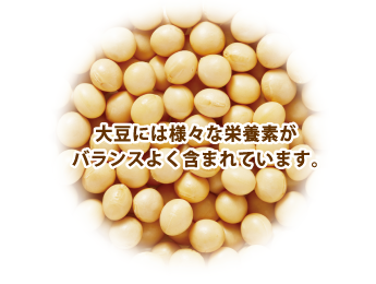 大豆には様々な栄養素がバランスよく含まれています。